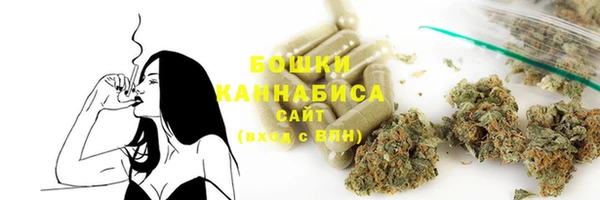 твердый Коряжма