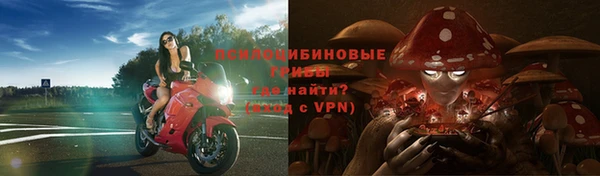 крисы Костерёво