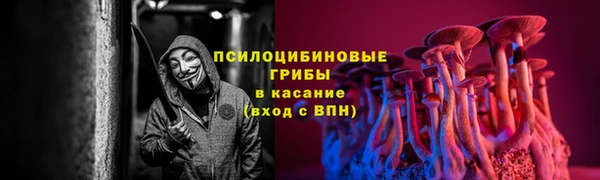 прущие крисы Красноперекопск