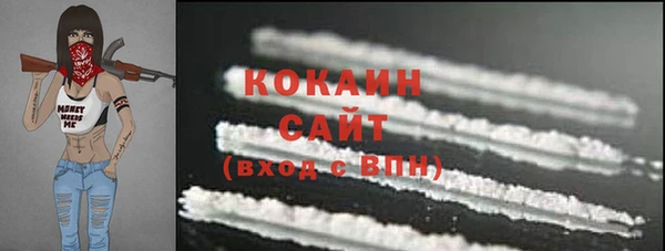 крисы Костерёво