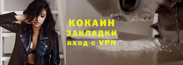 твердый Коряжма