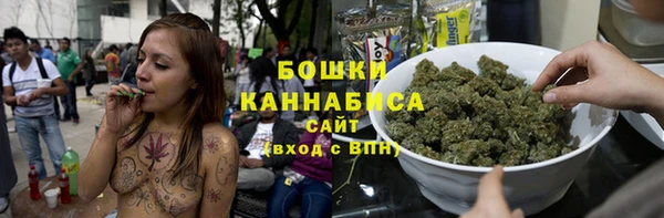 твердый Коряжма